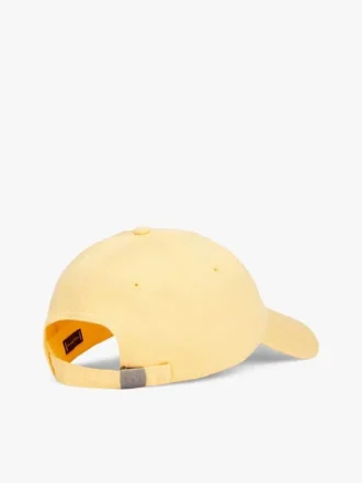 Gorra de béisbol con logotipo de bandera