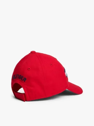 Gorra de béisbol con logotipo de rayas y bandera para bebés